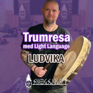 Trumresa Ludvika - Skogskraft