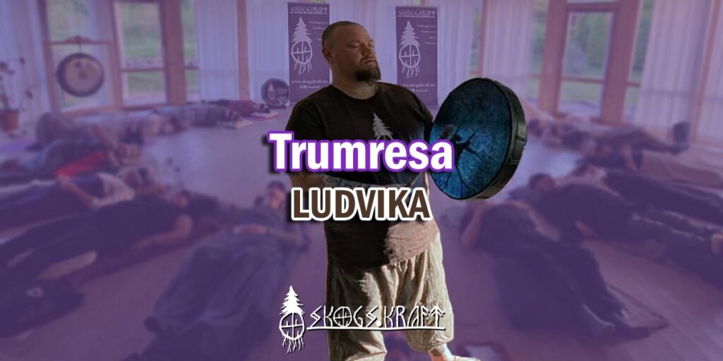 Trumresa Ludvika - Skogskraft