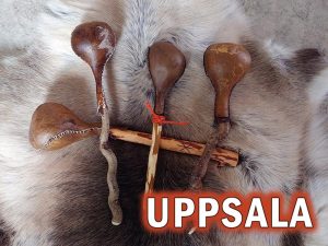 Bygg din egna shamanskallra - Uppsala