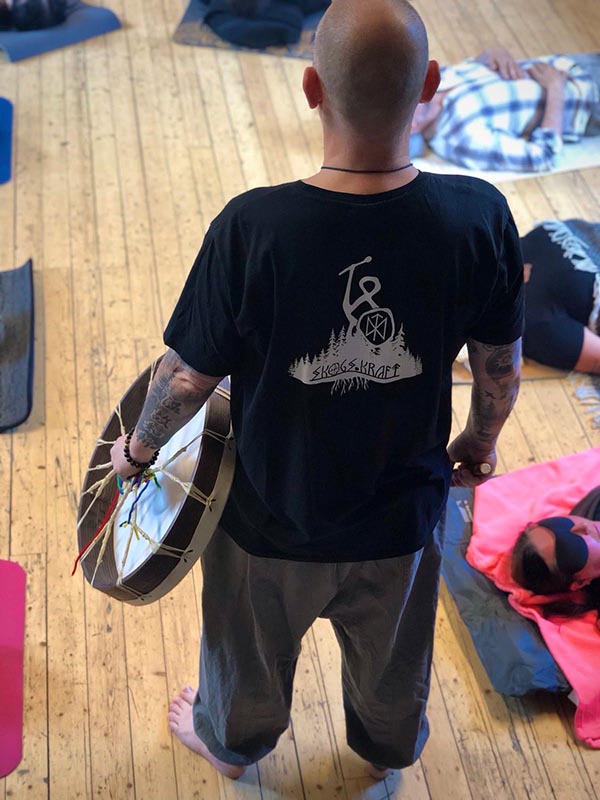 trumresa trumhealing ljudhealing - henrik schough skogskraft